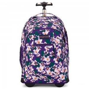 Jansport Driver 8 Rolling Reppu Violetit | FI3248EX